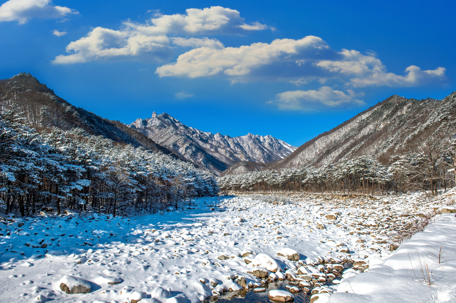 Himachal Pradesh Banner