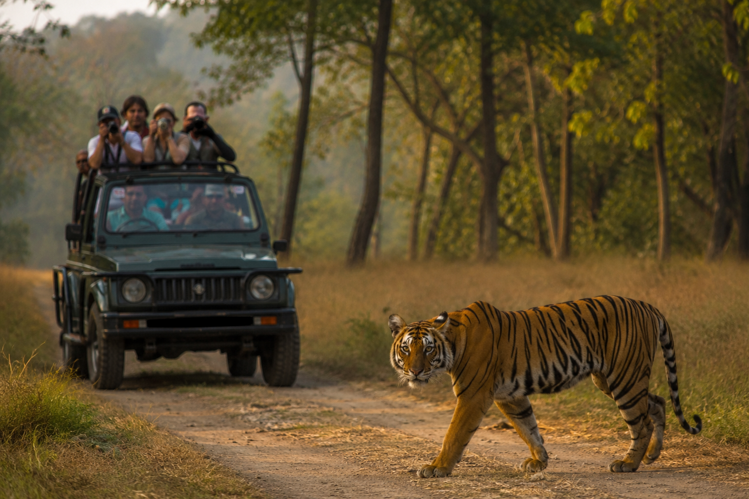 Uttarakhand Devbhoomi Packages